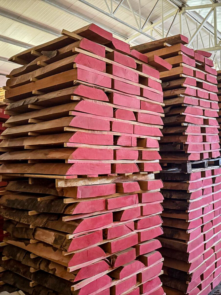 WhatsApp Image 2025-10-27 at 17.19.15 (2)