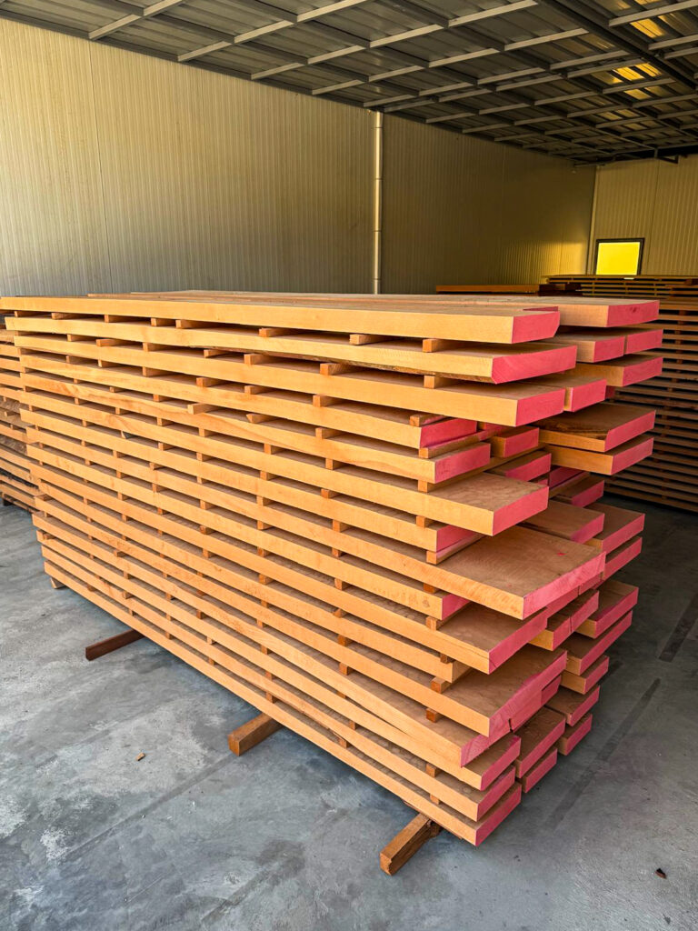 WhatsApp Image 2025-10-27 at 17.25.49 (1)