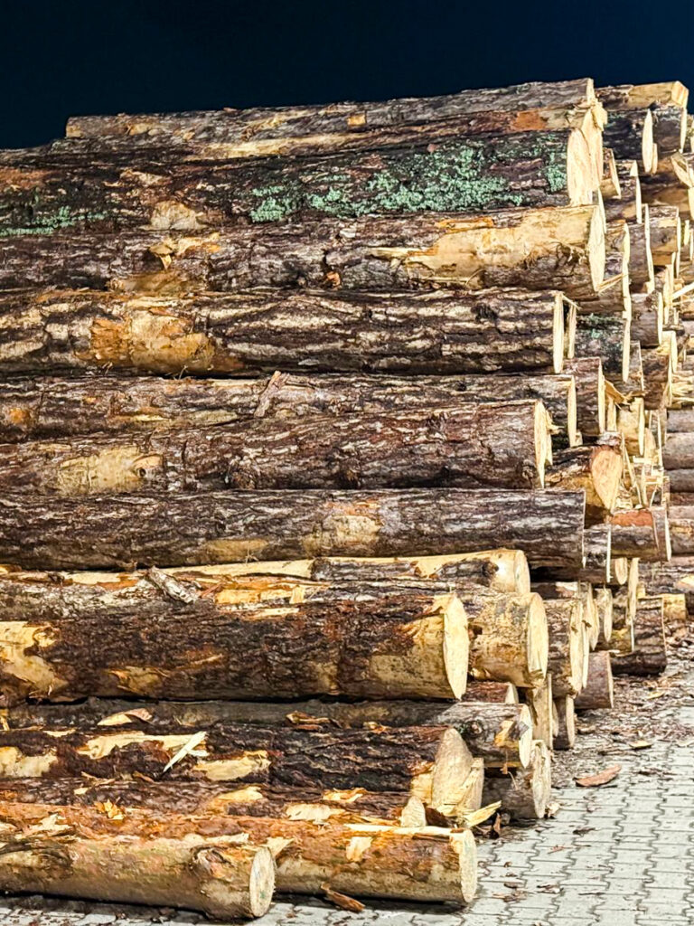 WhatsApp Image 2025-10-27 at 18.07.15 (1)